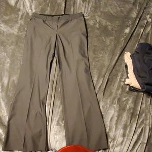 Editor dress pants